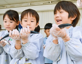 生のサンマに歓声を上げる園児たち