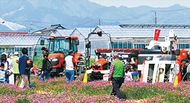 食べて遊んで地域の魅力再発見