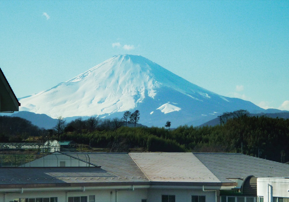 天台宗妙覚寺 丘上の墓地を分譲中 富士山や江の島一望のロケーション