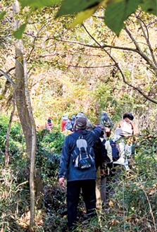 山道を歩く