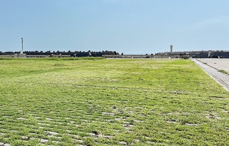 大磯港の芝生エリア