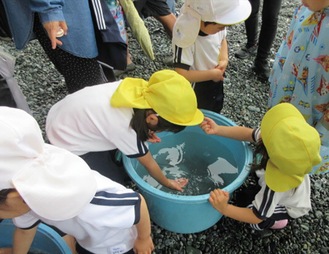 魚を観察する様子（提供写真）