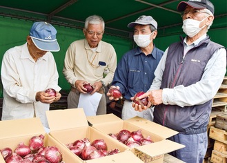 湘南レッドのできを確かめる生産者ら