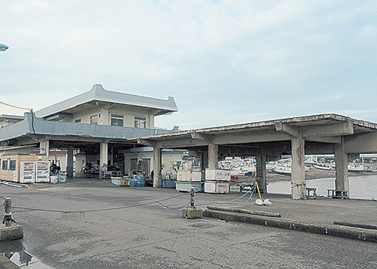 求む 地元食材 大磯港賑わい交流施設 大磯 二宮 中井 タウンニュース