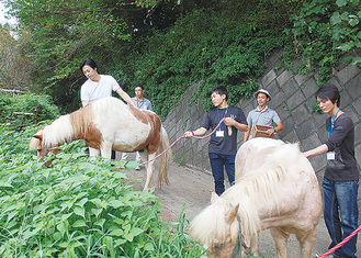 職業体験として馬の世話をする塾生