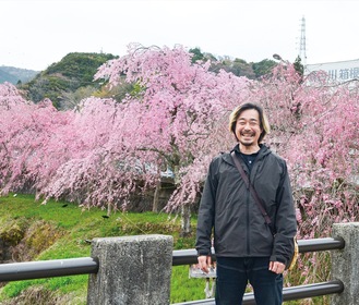 満開間近のシダレザクラと古屋会長（３月31日撮影）