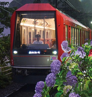 箱根湯本駅近くを走る「あじさい電車」（６月15日撮影）