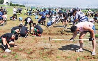 協力して芝生を植える参加者