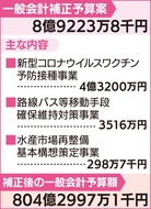 保健、移動支援策など審議