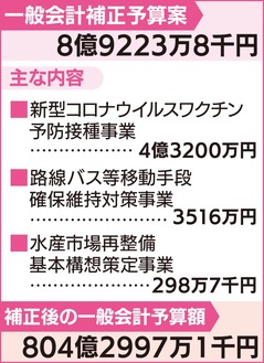 保健、移動支援策など審議