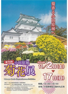 74回目の開催となる小田原城菊花展のチラシ