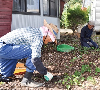 除草作業に励む会員ら