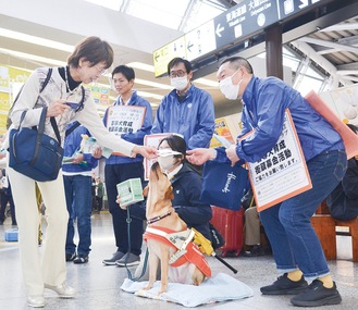 盲導犬育成に募金呼び掛け