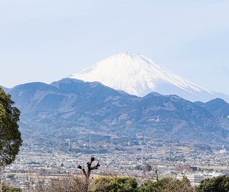 足柄上地域から見える富士山（大井町内で撮影）