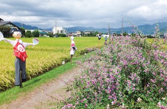 萩街道（写真は過去）