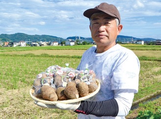 採れたての弥一芋を手にする辻理孝会長