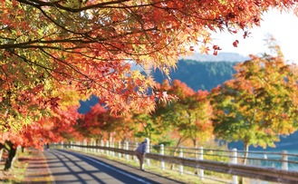 丹沢湖畔紅葉狩り