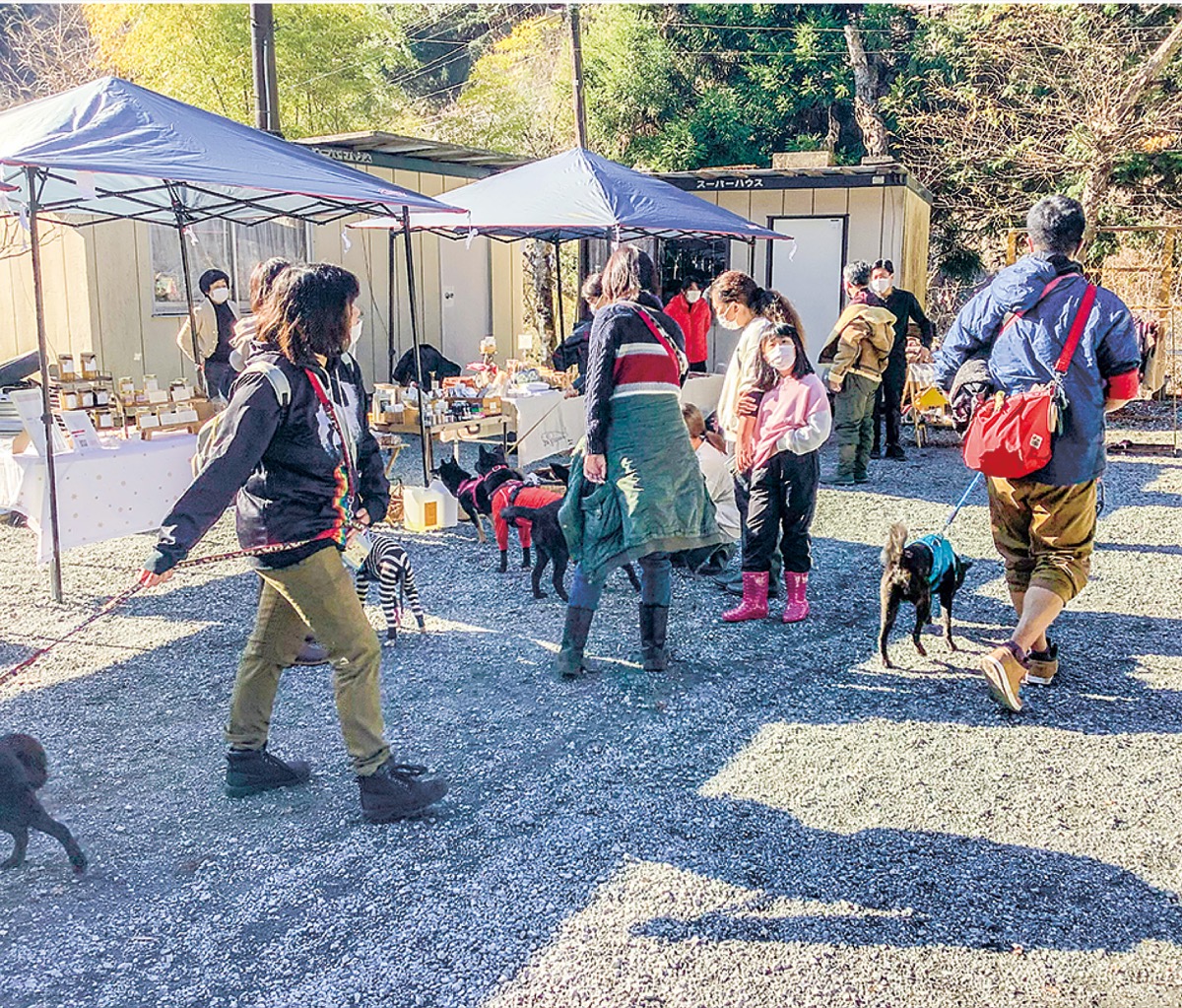 西丹沢大滝キャンプ場 犬同伴優先日 が好評 賑わい創出にも一役 足柄 タウンニュース