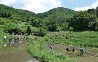 名古木の棚田（丹沢ドン会提供）