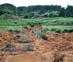 大雨の影響で崩れた高梨茶園の茶畑（9月16日撮影）