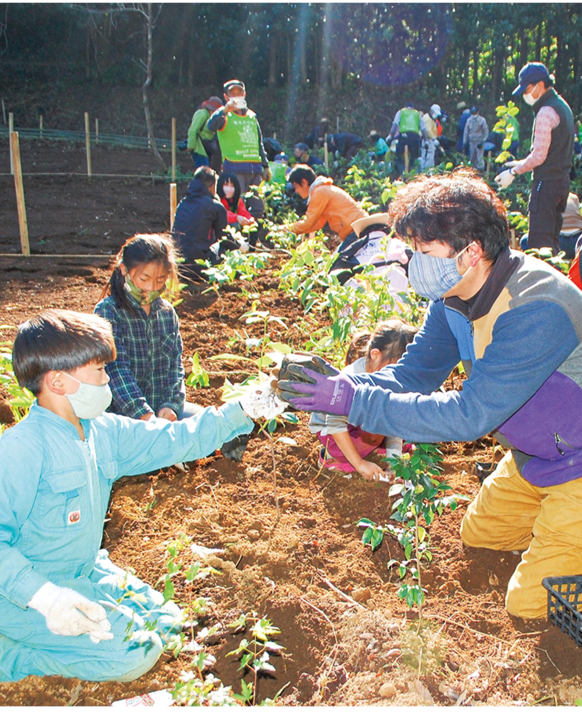 １５００本の苗木を手植え 宮脇昭追悼植樹祭で