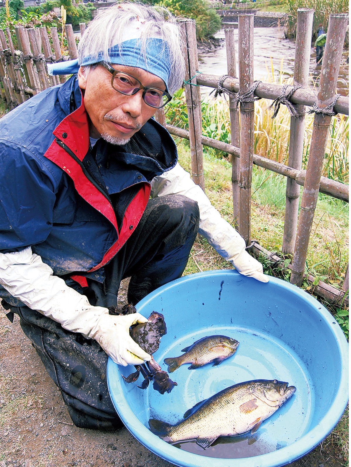 池の水抜き、生態調査